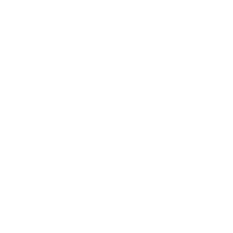 Octagon logosu